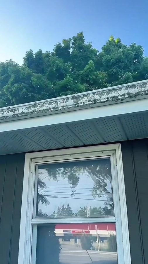 Gutter cleaning video thumbnail