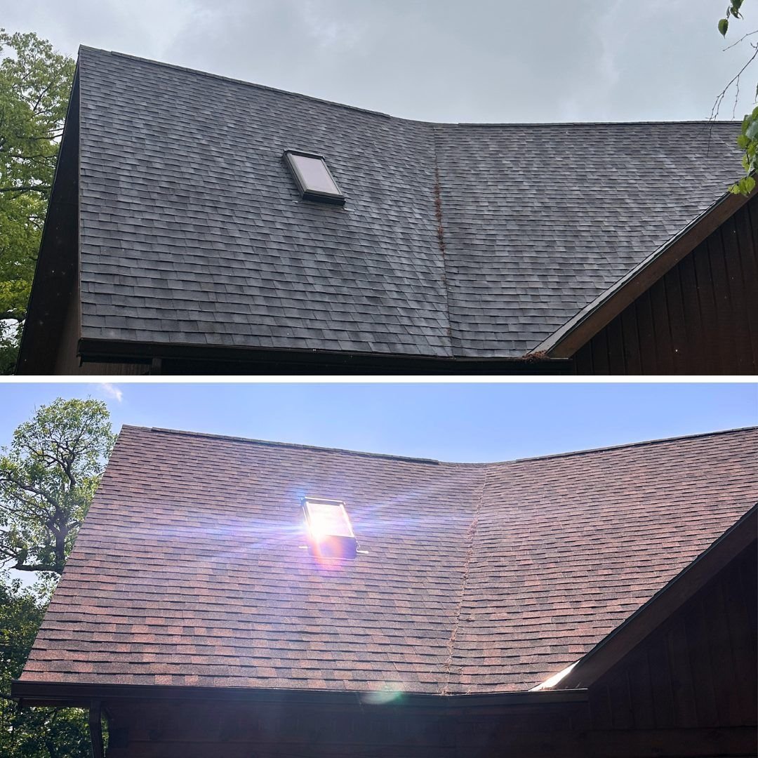 Roof moss and algae treatment before and after
